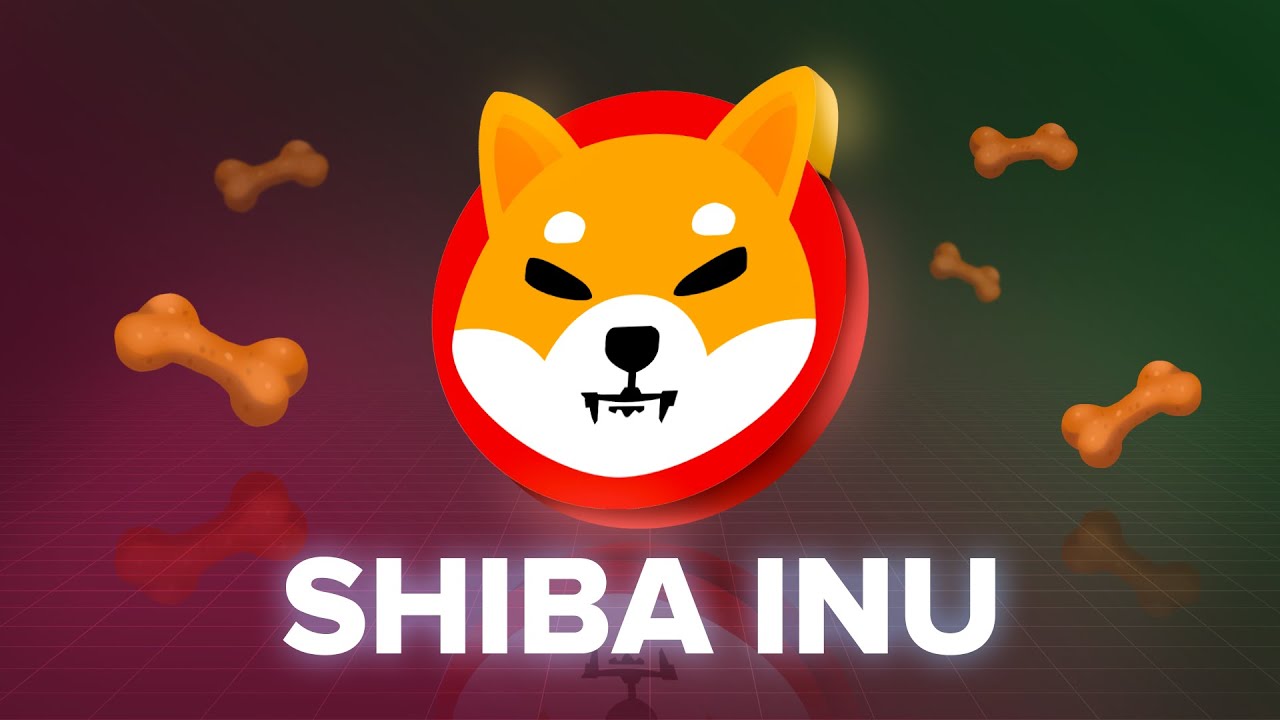 Günde Ortalama Kaç Kişi Shiba Inu Kervanına Katılıyor?