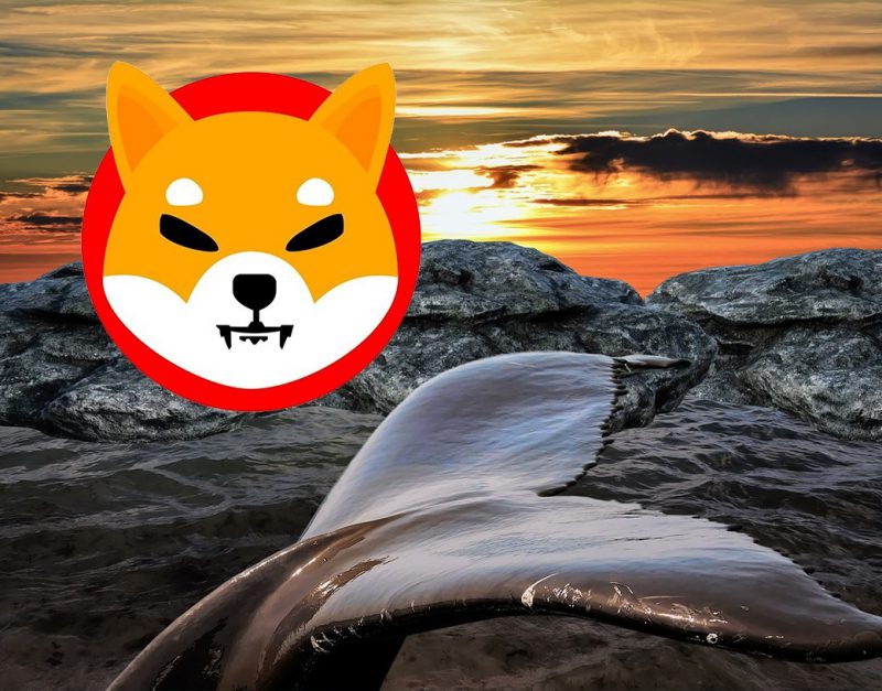 Ethereum Balinalarının Gözdesi Shiba Inu İstila Altında!