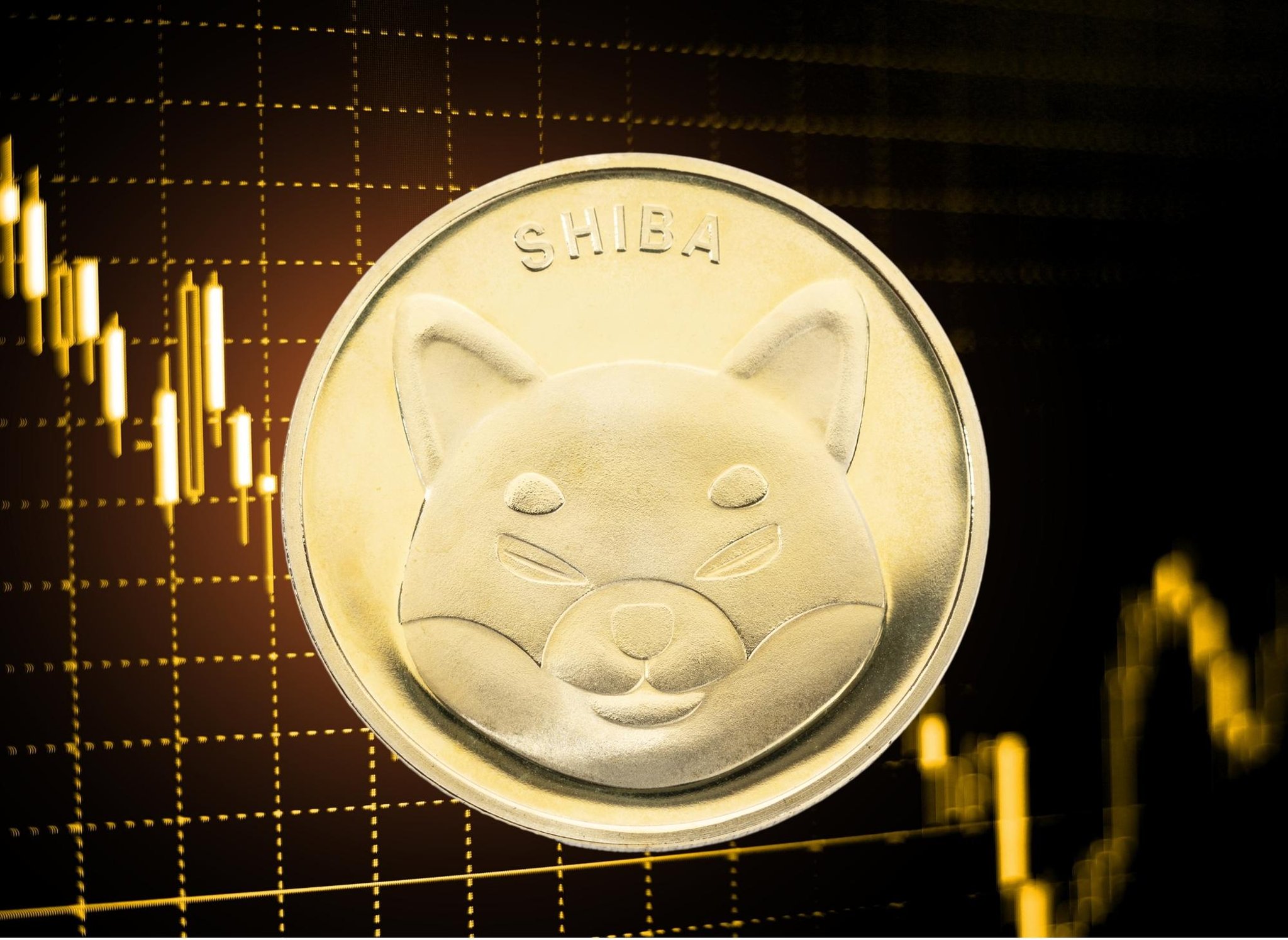 Shiba Inu: İşte İranlı Bir Yatırımcının Başarı Öyküsü