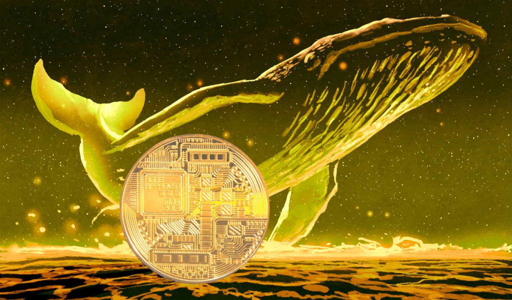 En Büyük Ethereum Balinaları Bu 8 Altcoin'i Biriktiriyor!