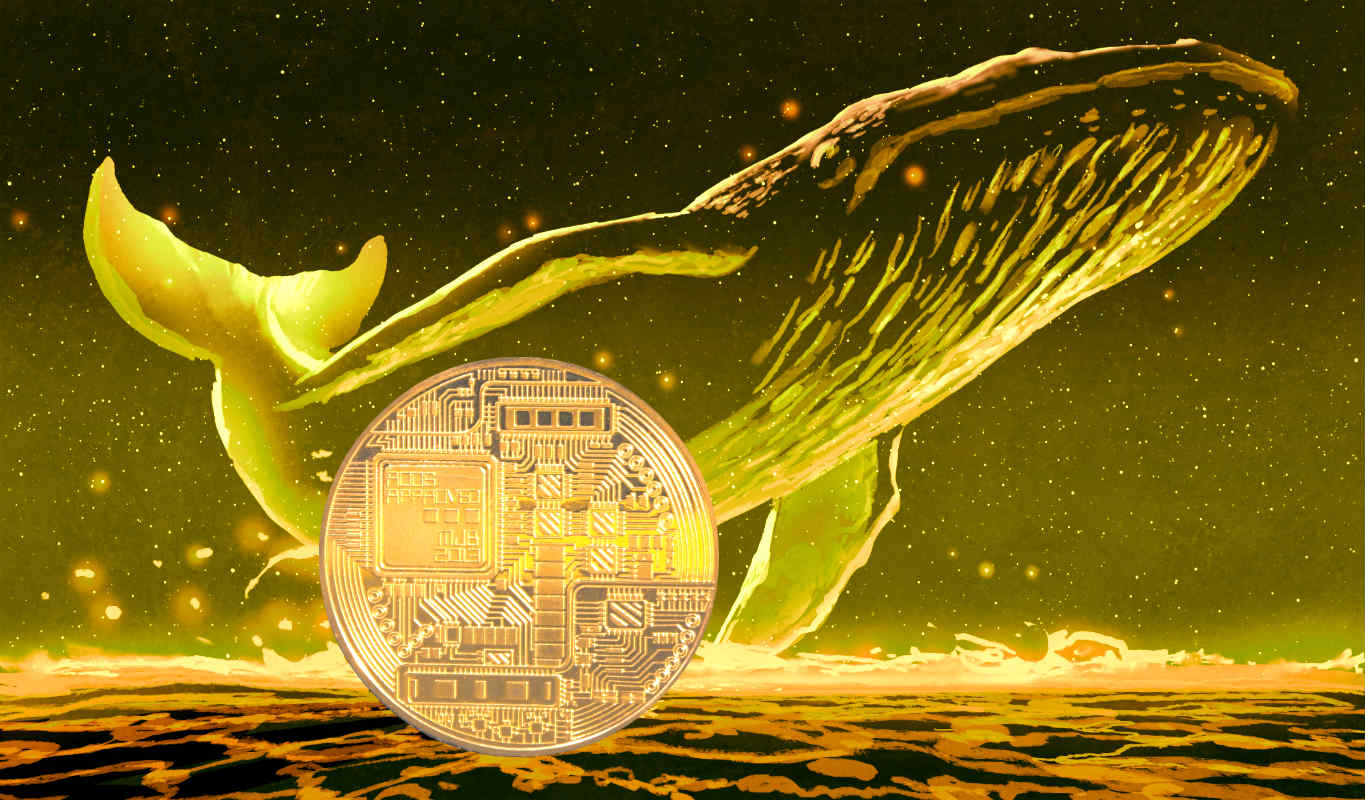 En Büyük Ethereum Balinaları Bu 8 Altcoin'i Biriktiriyor!