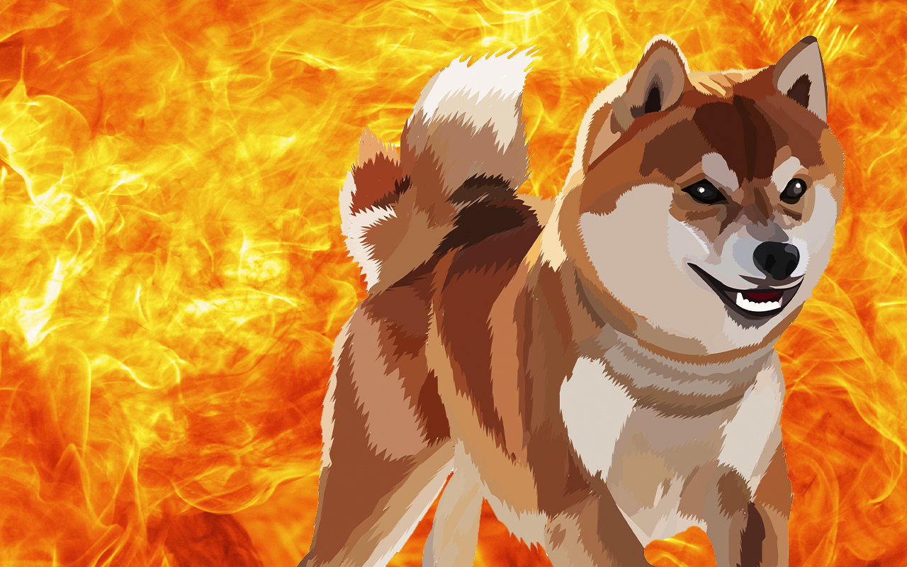 24 Saatte 14.6 Milyon Shiba Inu Yakıldı! Daha Fazlası Yolda!