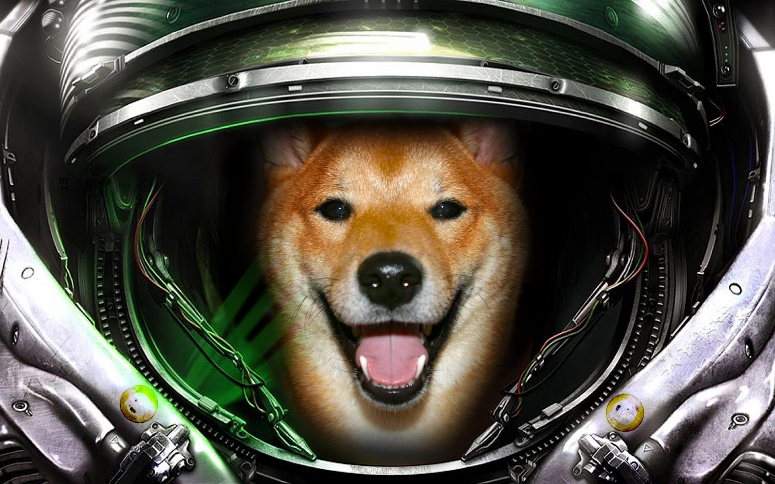 doge