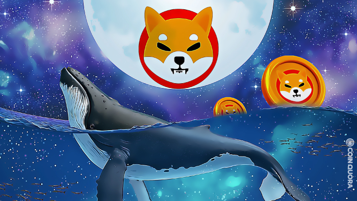 Balinalar Durmaksızın Shiba Inu Alıyor! SHIB, yükselecek mi?