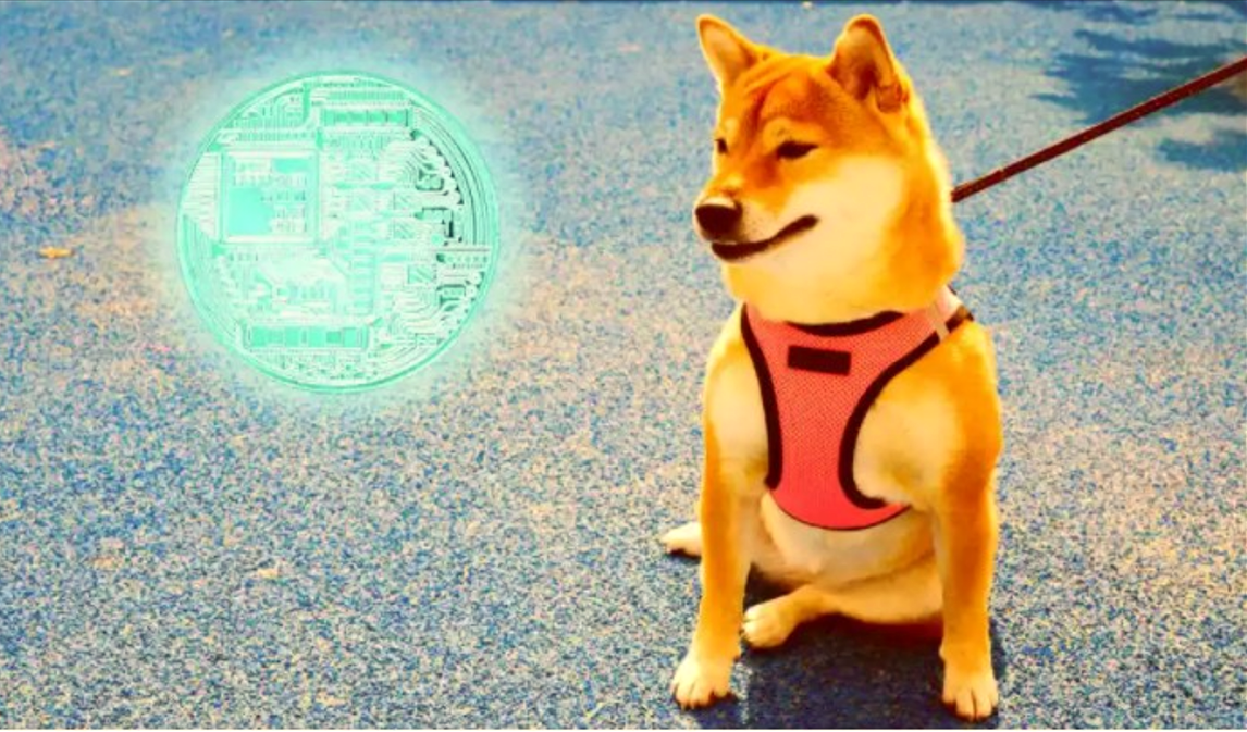 Teknik Analist: Bu Altcoin 2022'nin Dogecoin (DOGE)'i Olmaya Aday
