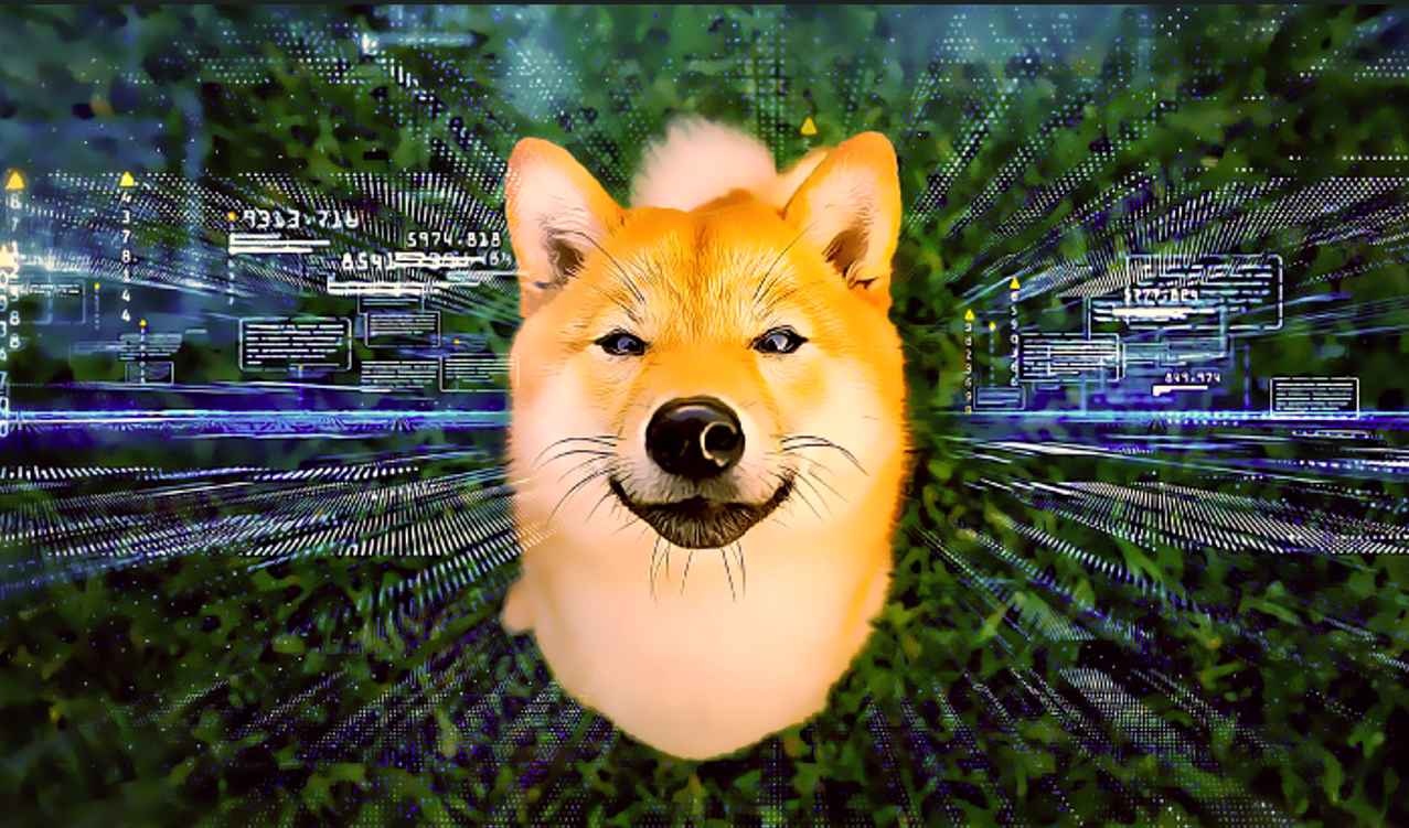 Analistten Shiba Inu Yorumu: Uzun Vadede SHIB’i Ne Bekliyor?