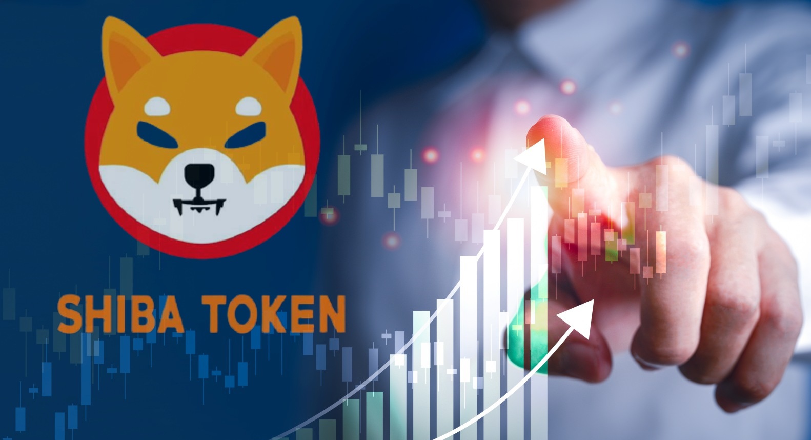 Shiba Inu Toparlanıyor: IntoTheBlock'tan Çarpıcı Veriler Geldi!