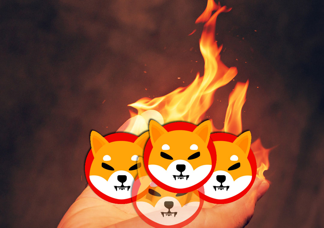 Shiba Inu Yakım Oranı Rekor Kırdı: İşte Güncel Veriler!