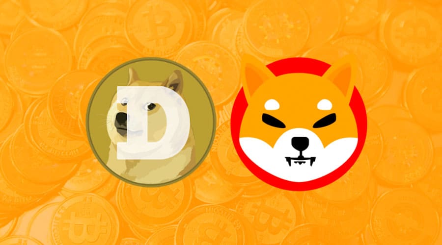 Shiba Inu ve Dogecoin Yatırımcılarının Yüzde Kaçı Kârda?