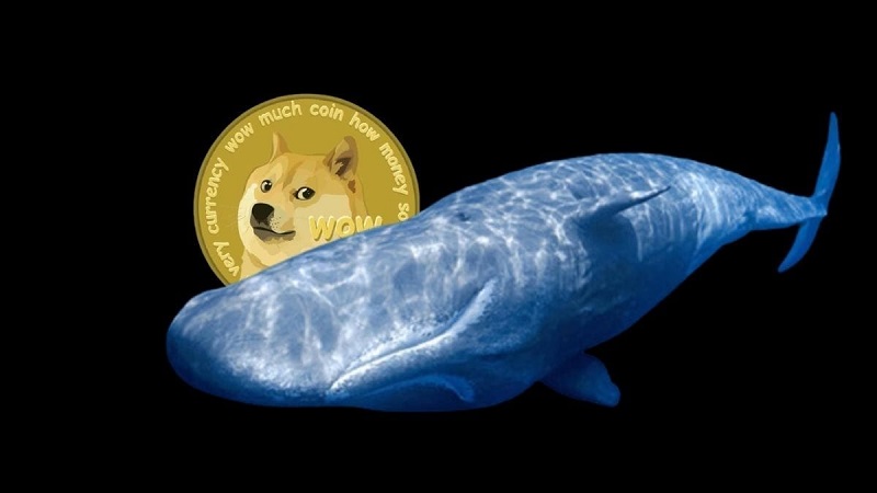 Tesla Etkisi: Dogecoin Balina İstilasına Uğruyor