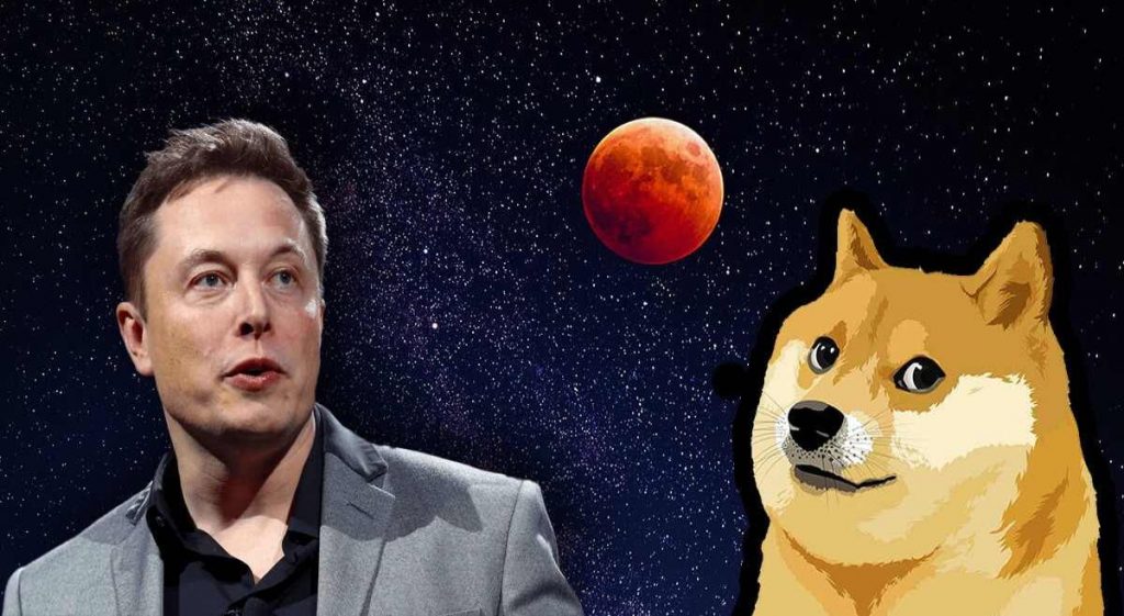 Sırrı Çözüldü! Elon Musk Neden DOGE'yi Destekliyor?