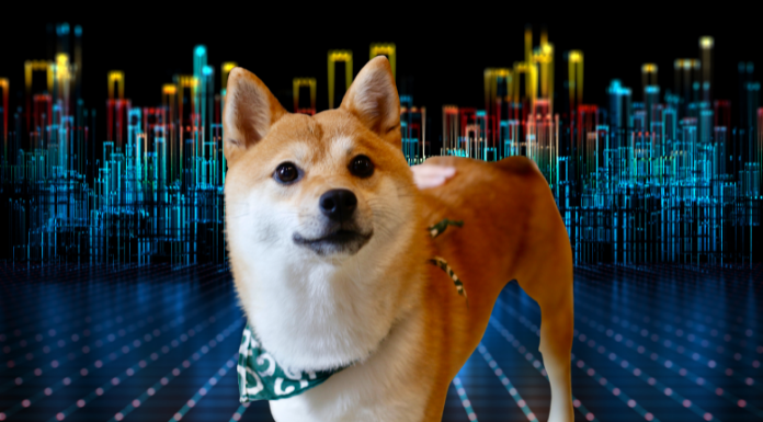 Shiba Inu: Shibaverse Hamlesi Uzun Vadede Fiyatı Etkileyecek mi?