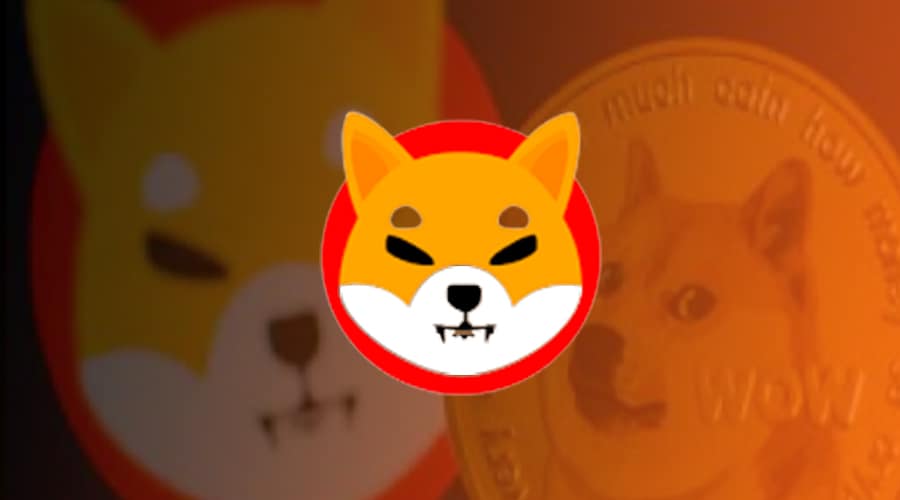 Shiba Inu (SHIB)'da Lale Devri Sona Eriyor: 2 Kritik Metrik Alarm Veriyor