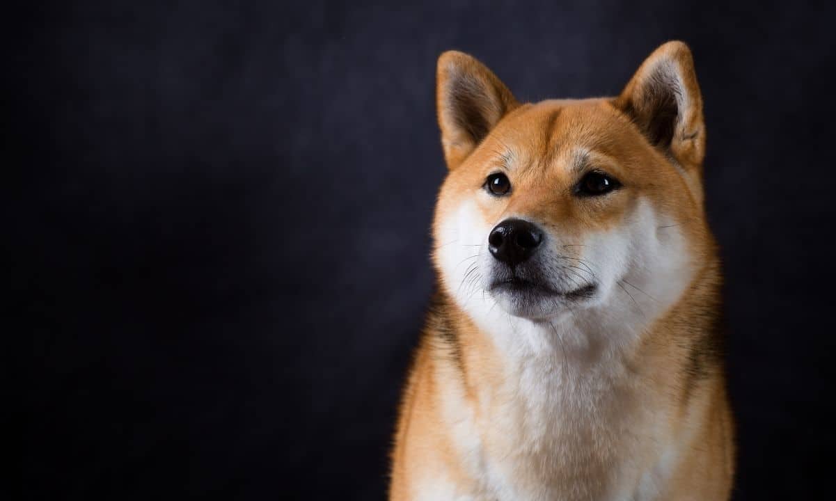 Shiba Inu Dev Borsada Listelendi! İşte Ayrıntılar