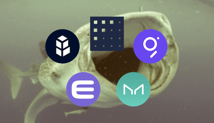 Kıdemli Analist: Polkadot (DOT) Tabanlı Altcoin Umut Vaat Ediyor