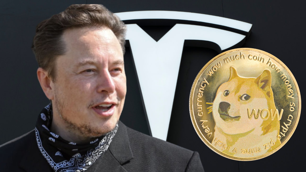 Elon Musk Açıkladı: Dogecon'i Bu Yüzden Destekliyorum!