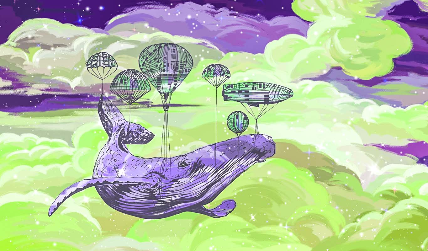 AVAX Balinaları Bu 10 Altcoin’den Biriktiriyor