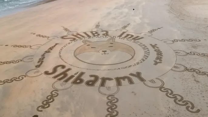 Shiba Inu İrlanda Kıyılarında: Nesiller Boyu Zenginlik!
