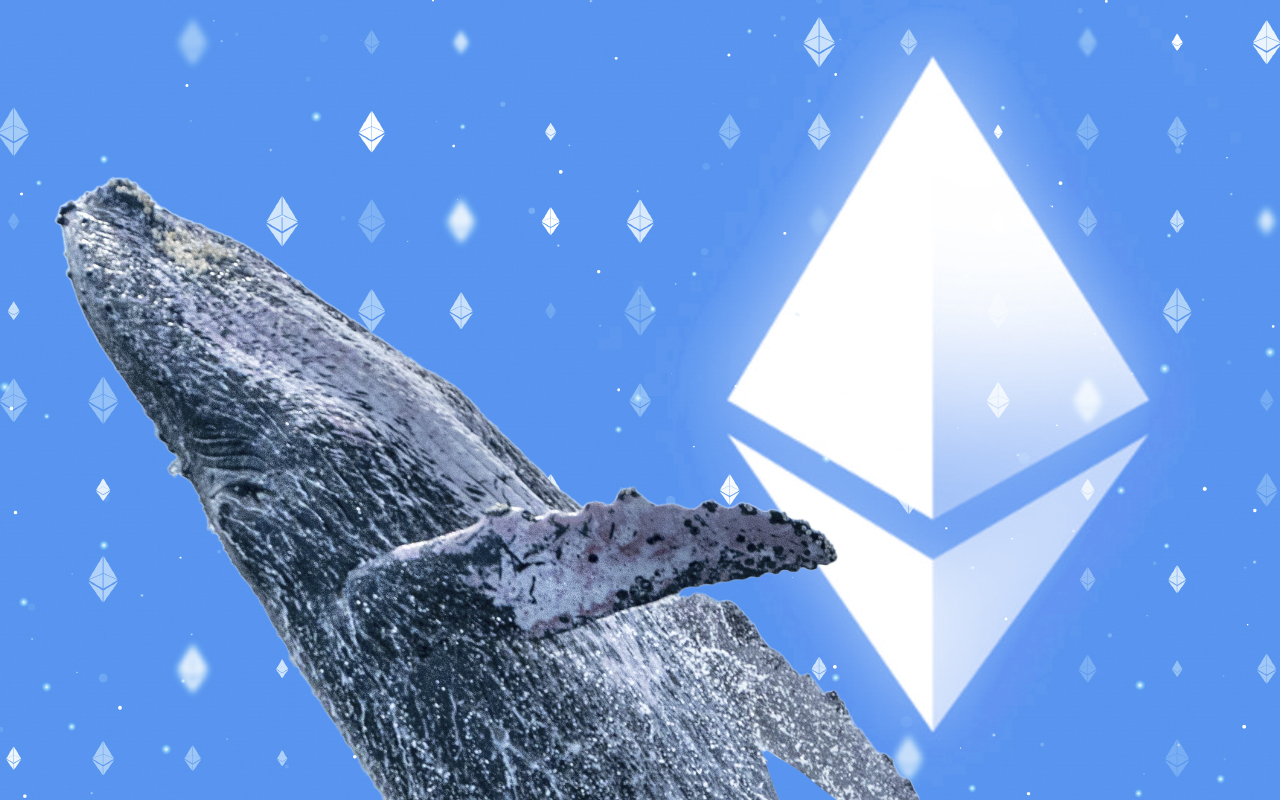 Piyasa Kırmızıda: 3 Altcoin Balina İstilasında!