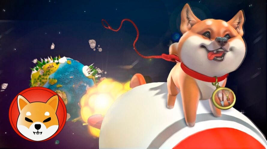 Shiba Inu Bir Başarıya Daha İmza Attı: CoinDesk 20 Listesi!