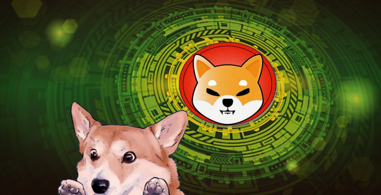 Shiba Inu (SHIB)’dan Müjde: Daha Fazlası Geliyor