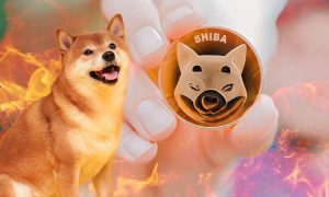 Analist Shiba Inu Fitilini Yakacak 3 Gelişmeyi Açıkladı