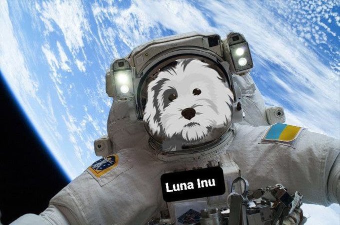 Jeff Bezos’un Köpeği Temalı Altcoin Uçuşa Geçti !