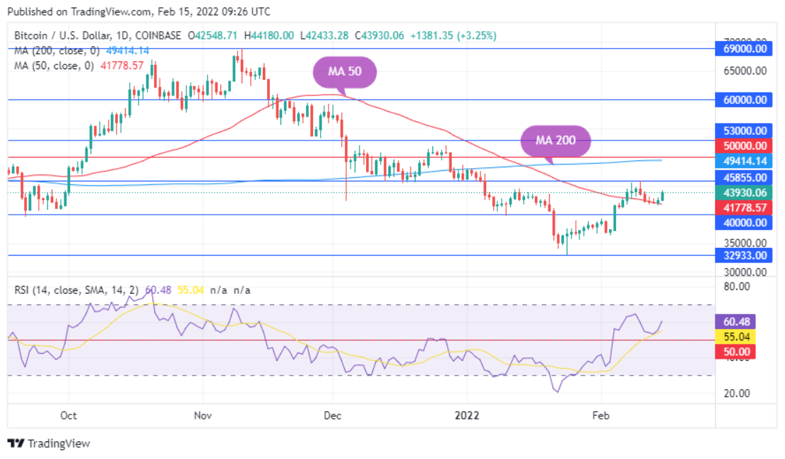 BTC/USD Günlük Grafik, Görsel Kredi: TradingView