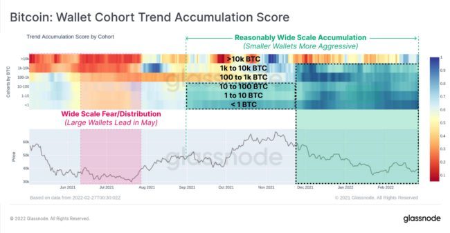 Bitcoin Cüzdan Kohort Trend Biriktirme Puanı || Kaynak: Glassnode