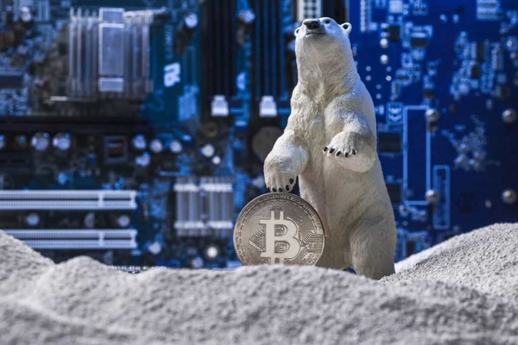 Analistten Kritik Bitcoin (BTC) Yorumu: 2018!
