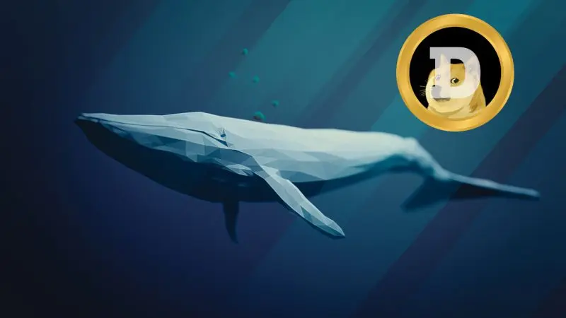 BSC Balinaları Yeniden Dogecoin Biriktirmeye Başladı