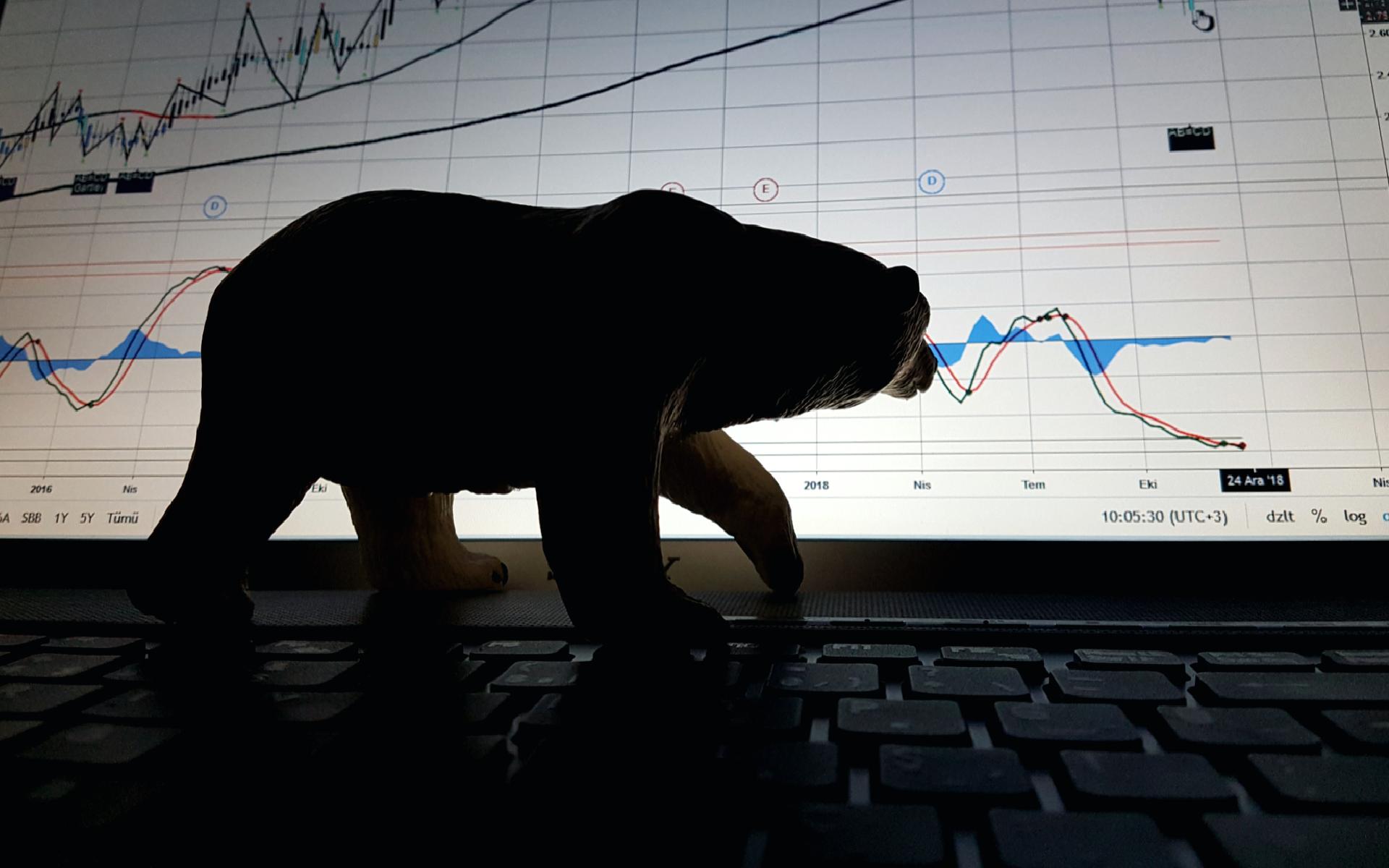 Analist Uyardı: Altcoin Piyasası Büyük Darbe Alacak!