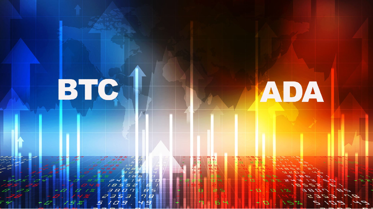 Popüler Analistten Kritik Cardano ve Bitcoin Uyarısı Geldi