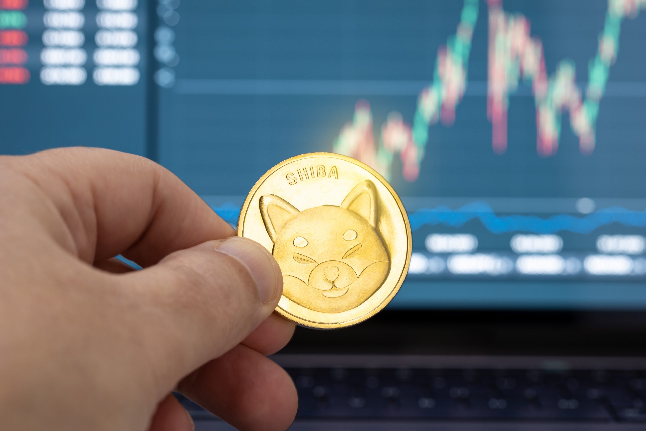 Popüler Analistten Shiba Inu Yorumu; Sırada Ne Var?