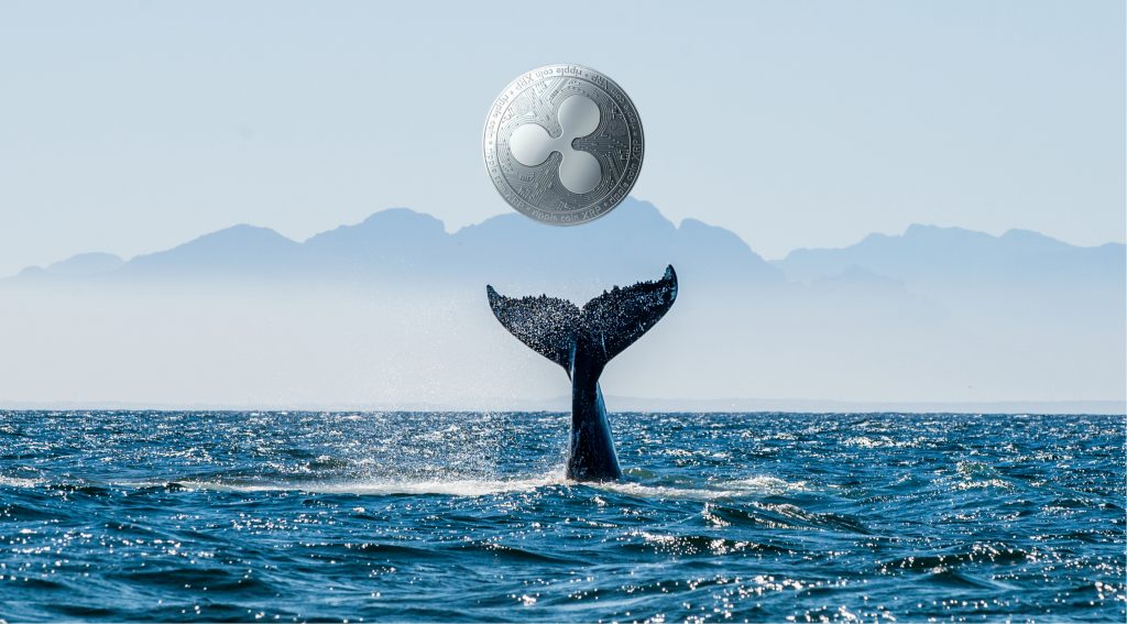 Balinalar, SHIB'i Satıyor: Bu Altcoin Büyük İlgi Görüyor!