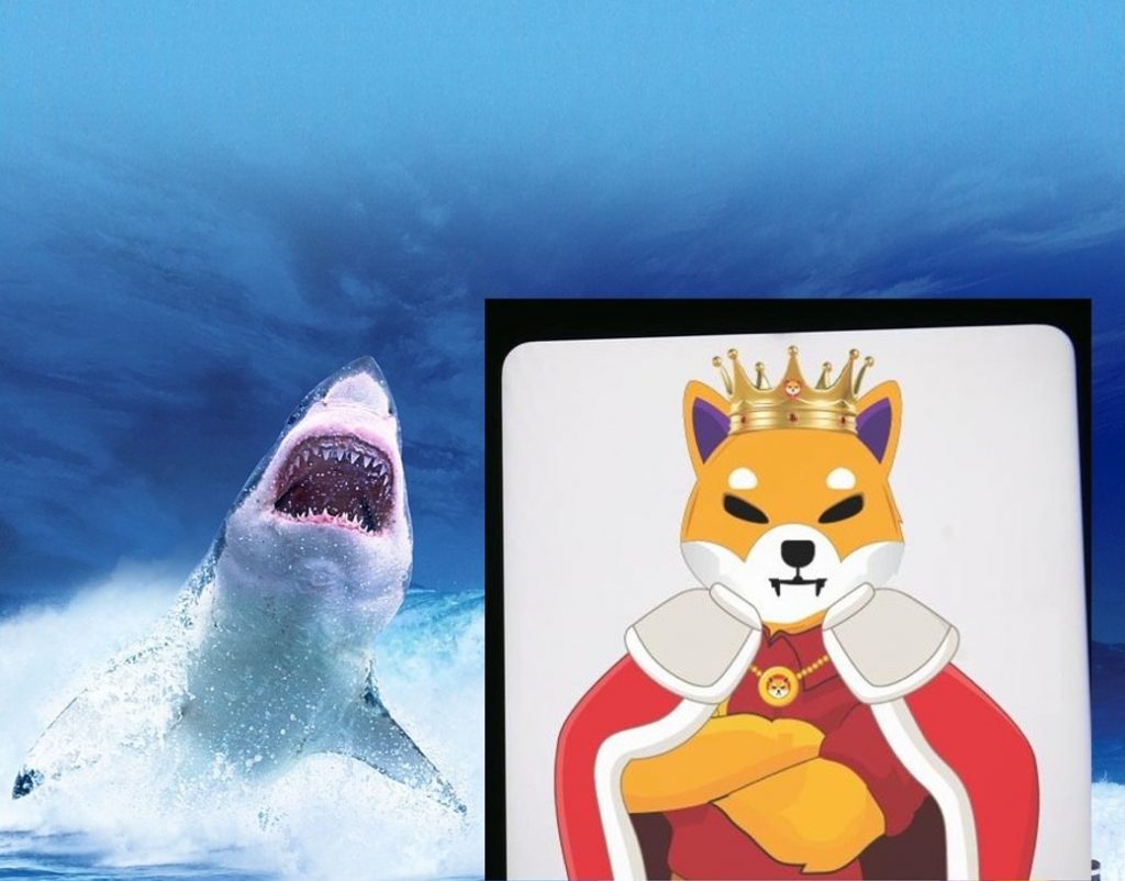 Balinalar Shiba Inu Zirvesi İçin Hazırlık Yapıyor: 44 Milyon Dolar!