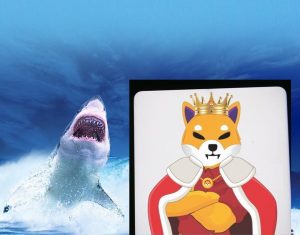 Balinalar Shiba Inu Zirvesi İçin Hazırlık Yapıyor: 44 Milyon Dolar!