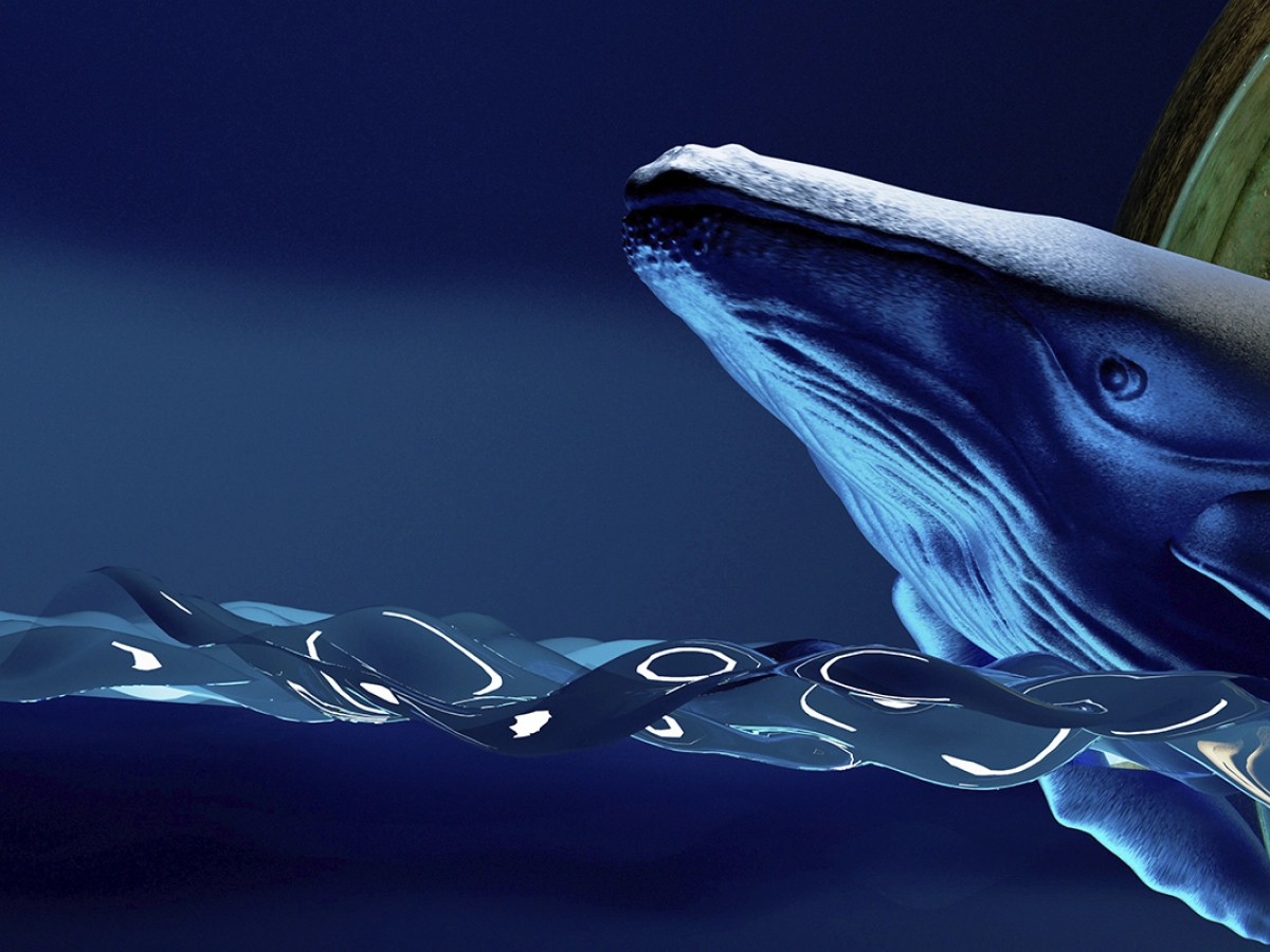 Kripto Para Balinaları Bu Altcoin'lere Saldırıyor! Peki Neden?