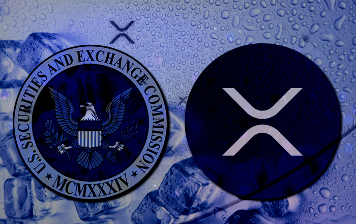 Ripple Avukatından SEC’e sert eleştiri: Anormal
