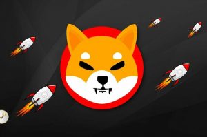Shiba Inu Rallisi Devam Edecek mi? İşte Sıradaki Seviyeler!
