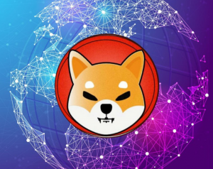 Shina Inu (SHIB)'dan Resmi Açıklama: İşte Çarpıcı Rapor
