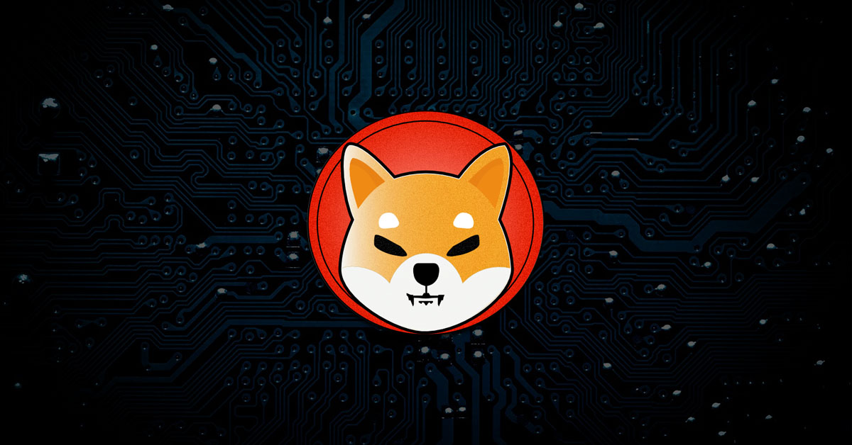 shiba Inu