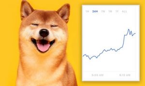 Açıklandı: Dogecoin (DOGE)'nin Yıl Sonu Fiyatı Ne Olacak?