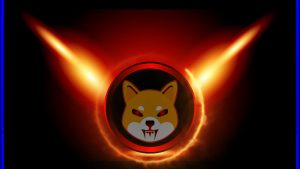 shiba Inu