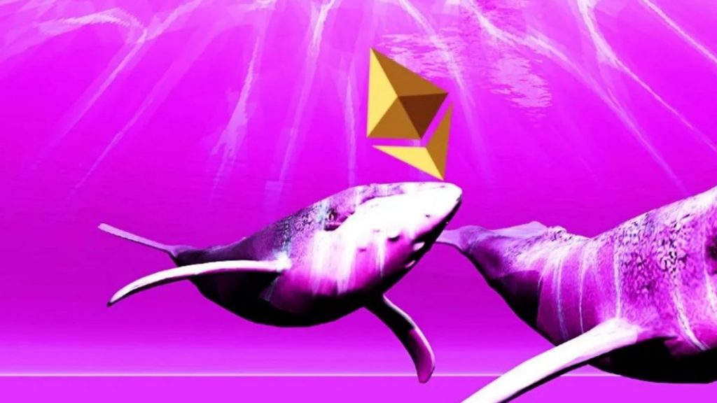 Metaverse Altcoin Balinaların Yeni Gözdesi Oldu!