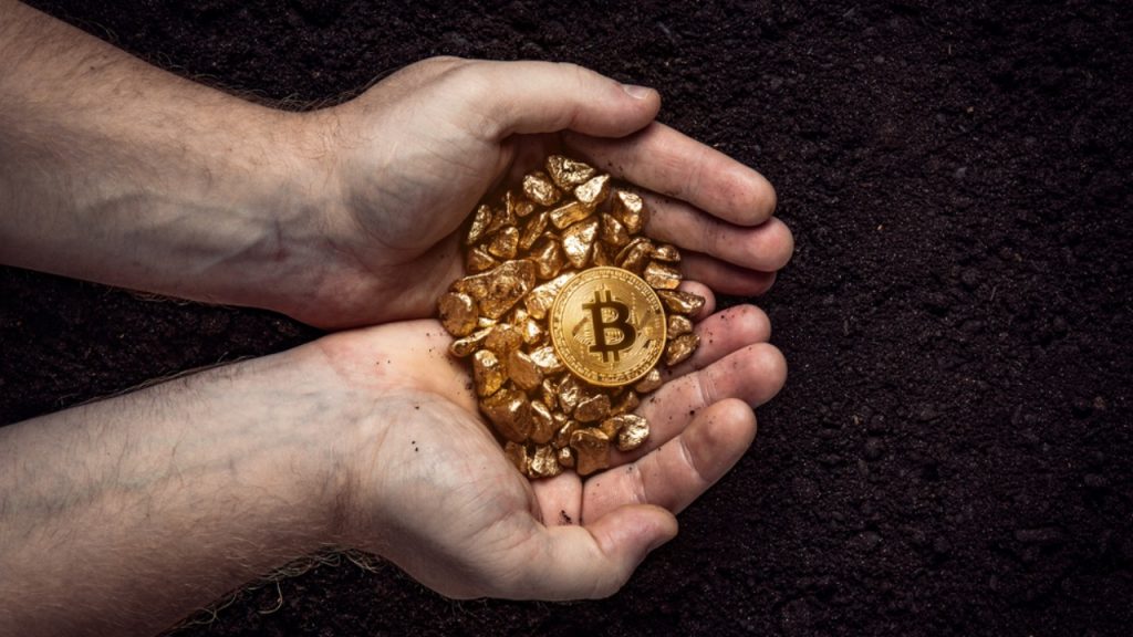 Uzman: Bu Altcoin 3 Yıl İçinde Bitcoin'i Geçebilir