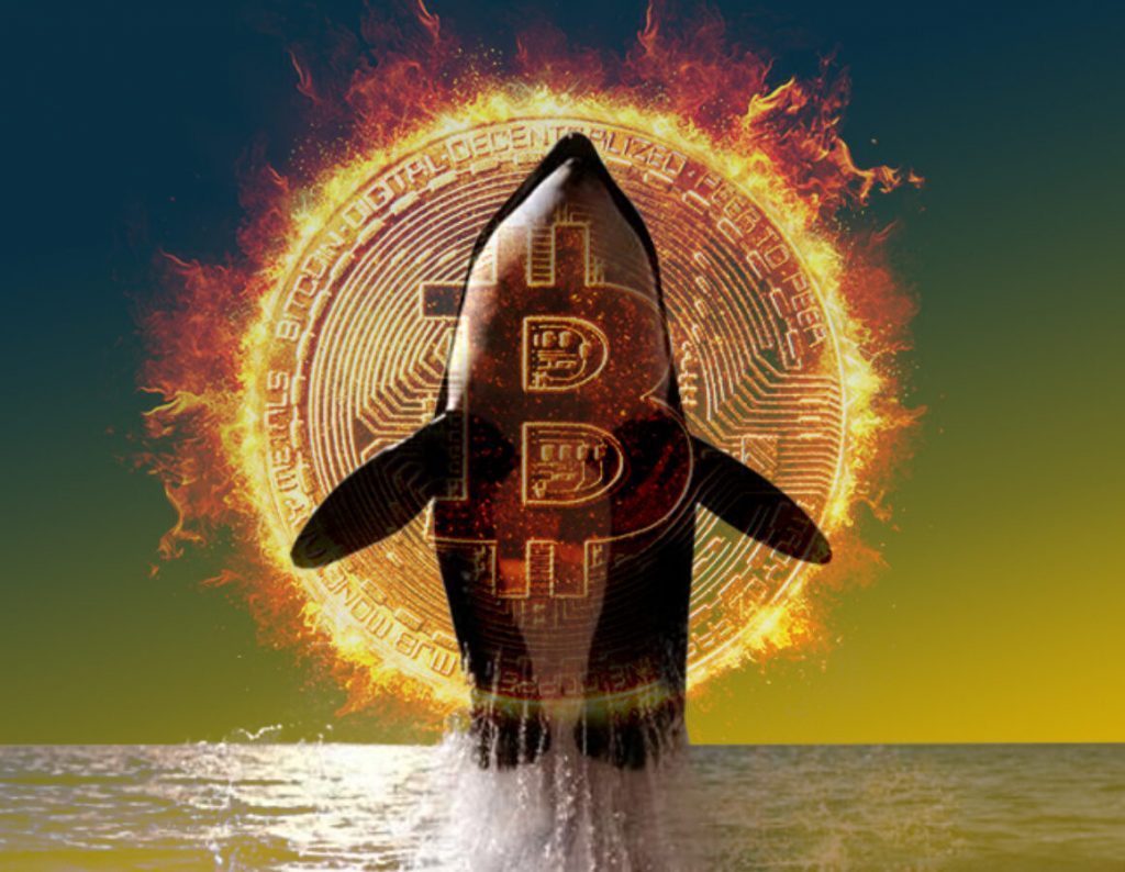 Analistten Kritik Bitcoin Yorumu: Devam Ediyor!