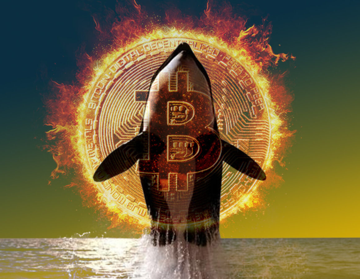 Analistten Kritik Bitcoin Yorumu: Devam Ediyor!