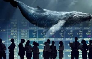 Bu Altcoin, ETH Balinalarının Gözdesi Oldu! Peki Fiyata Etkisi Ne?