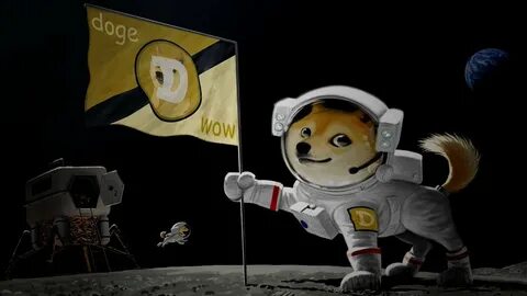Beyaz Saray Tarafından Yayınlanan Rapora DOGE Damga Vurdu!